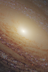 Flocculent spiral NGC 2841