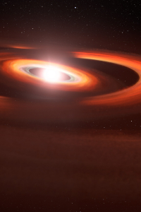 Concentric gas and dust discs around the star TW Hydrae